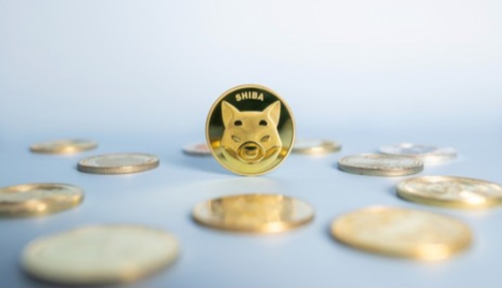 Moedas SHIB sobre mesa espelhada