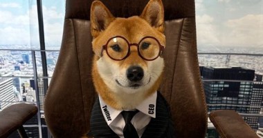 Imagem da matéria: Dogecoin (DOGE) decola 14% na semana; Bitcoin (BTC) estaciona em US$ 29 mil com expectativa sobre juros nos EUA