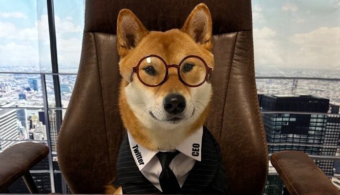 Imagem da matéria: Dogecoin (DOGE) decola 14% na semana; Bitcoin (BTC) estaciona em US$ 29 mil com expectativa sobre juros nos EUA