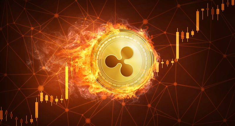 Imagem da matéria: XRP empurra mercado de criptomoedas: Stellar, Cardano, Polygon e Solana sobem até quase 70%