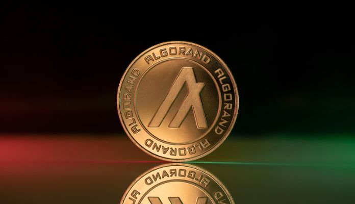 Imagem da matéria: Criptomoeda atinge nova baixa histórica em meio à desaceleração do mercado