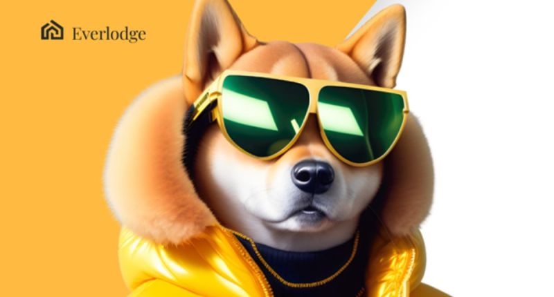 Imagem da matéria: Shiba Inu e Floki podem sobreviver neste mercado bearish? Everlodge prepara o caminho para Bull Run