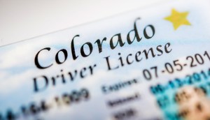 Recorte de imagem de carteira de motorista -Colorado Drive Licence EUA