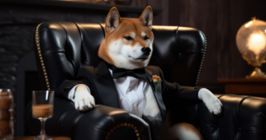 Imagem da matéria: Especialistas identificam a próxima grande criptomoeda: Será que ela supera a Shiba Inu?