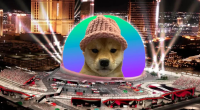 Imagem da matéria: Dogwifhat arrecada R$ 3,4 milhões para colocar memecoin na esfera de Las Vegas