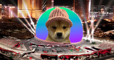 Imagem da matéria: Dogwifhat arrecada R$ 3,4 milhões para colocar memecoin na esfera de Las Vegas