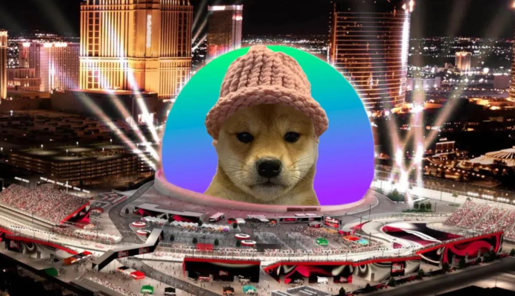 Imagem da matéria: Dogwifhat arrecada R$ 3,4 milhões para colocar memecoin na esfera de Las Vegas