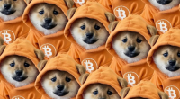 Imagem da matéria: DOG decola 85% na semana e mostra que hype das memecoins do Bitcoin ainda não acabou