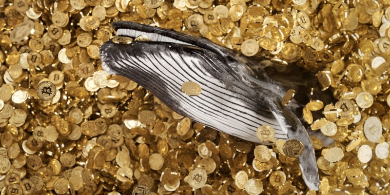 Baleia de Bitcoin move R$ 26 bilhões após 14 anos inativa