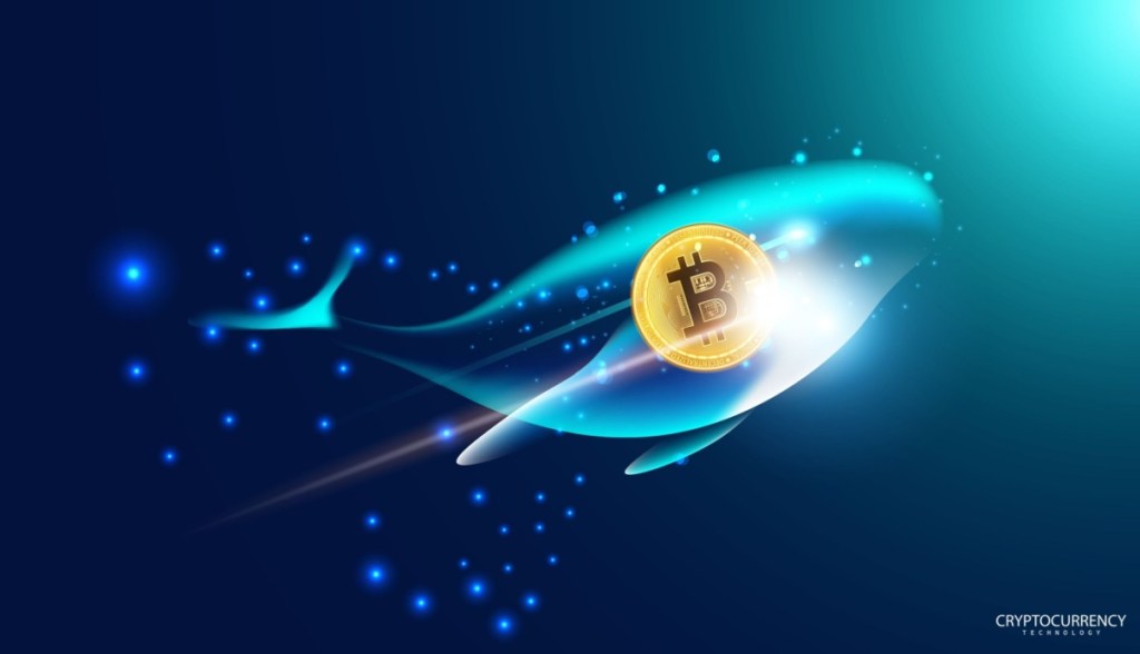 Ilustração de baleia nadando com moeda de bitcoin em seu interior