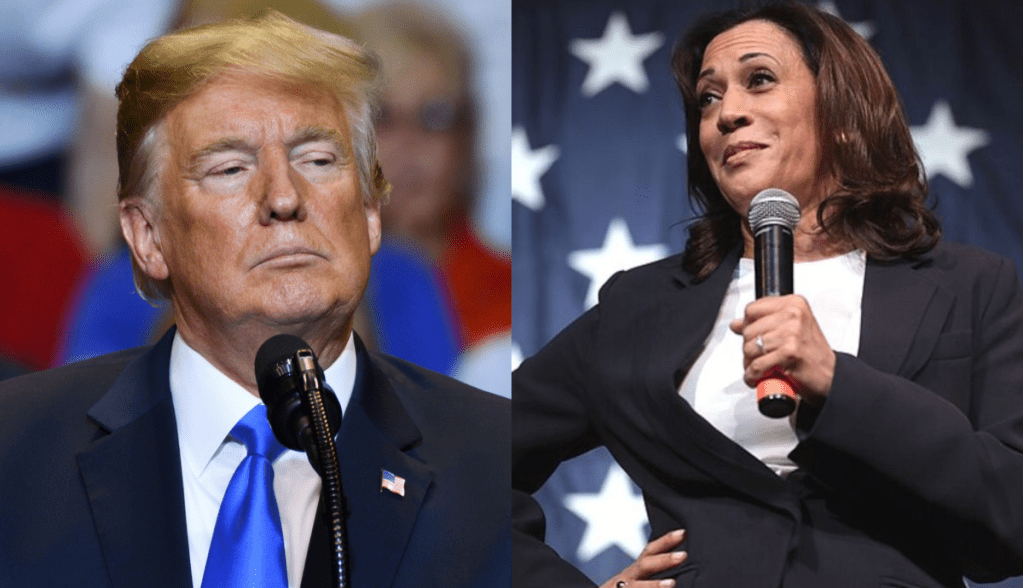 Imagem da matéria: Manhã Cripto: Bitcoin cai para US$ 56 mil após passar em branco em debate entre Trump e Harris