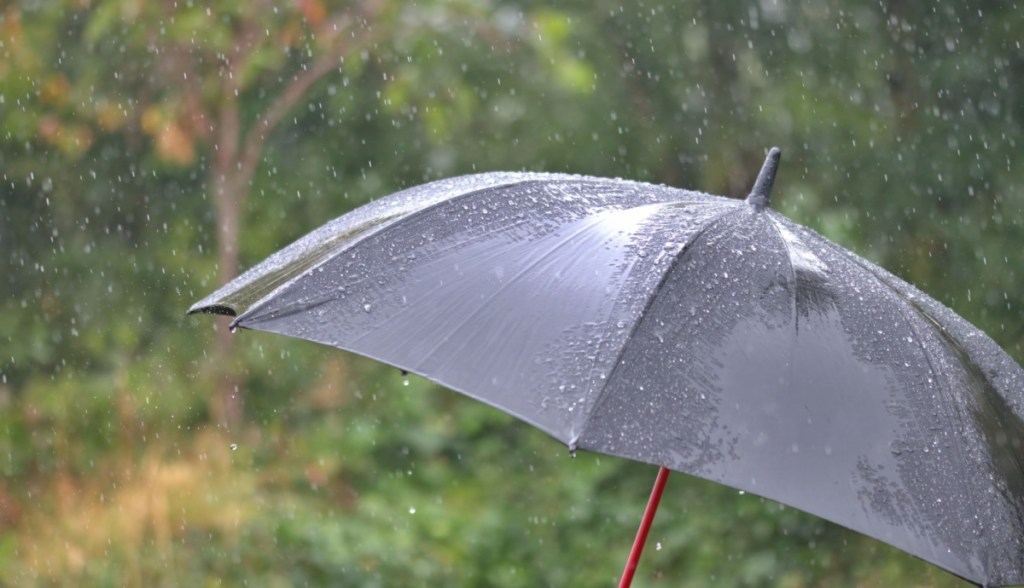 guarda-chuva sob a chuva
